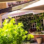 Hotel Le Lion D'or Et Restaurant La Table Du Lion