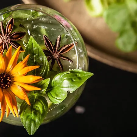 Le Lion D'or Et Restaurant La Table Du Lion 4*