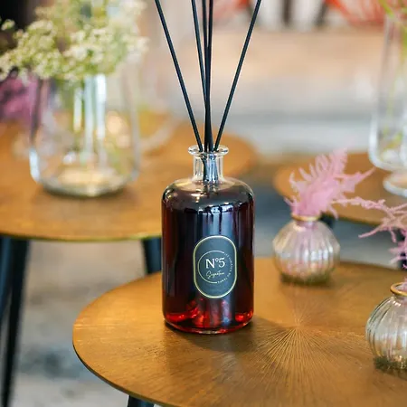 Le Lion D'or Et Restaurant La Table Du Lion 4*