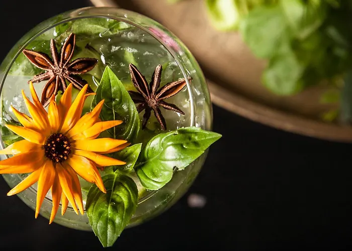 Le Lion D'or Et Restaurant La Table Du Lion 4*