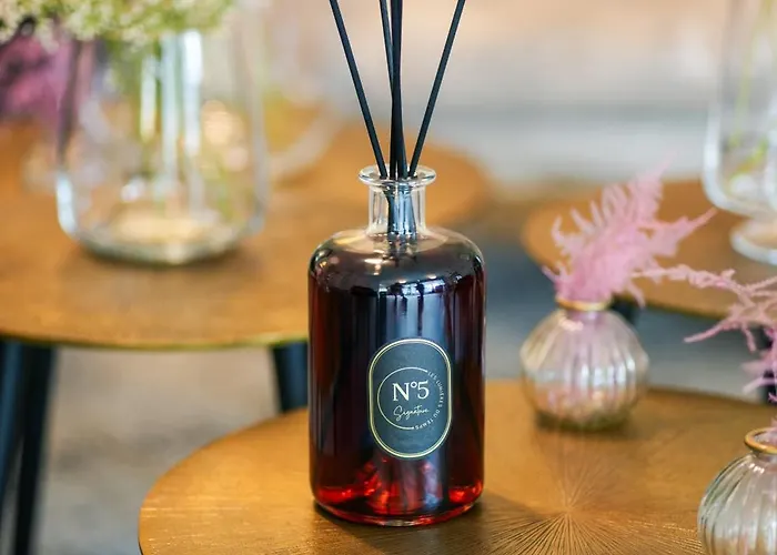 Le Lion D'or Et Restaurant La Table Du Lion 4*